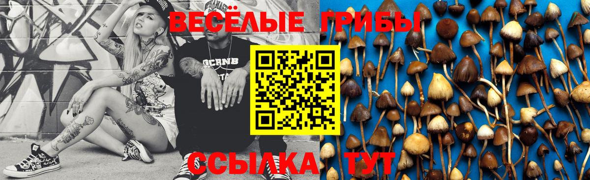 Галлюциногенные грибы GOLDEN TEACHER Сургут